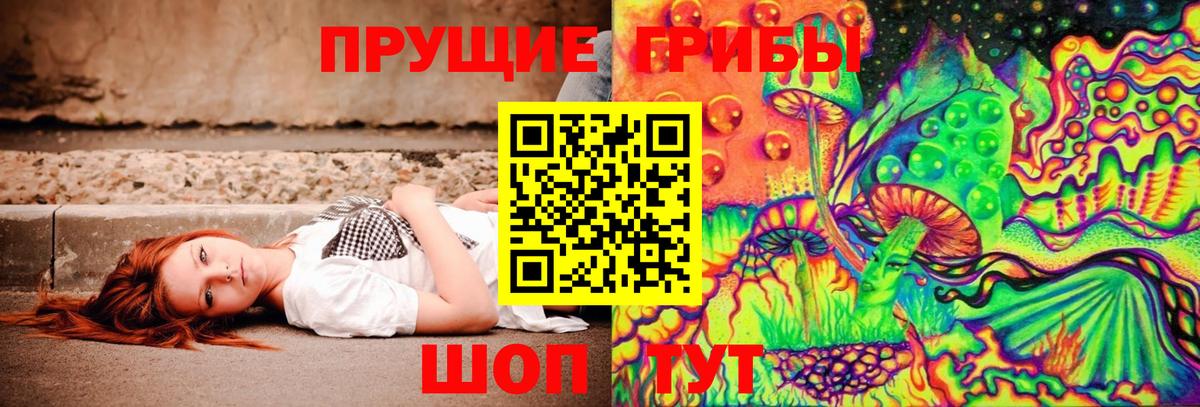 Псилоцибиновые грибы мицелий  Галлюциногенные грибы прущие грибы  Юрга  Вход с VPN 