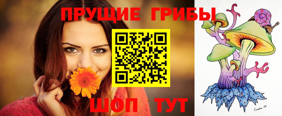 Галлюциногенные грибы Magic Shrooms Юрга